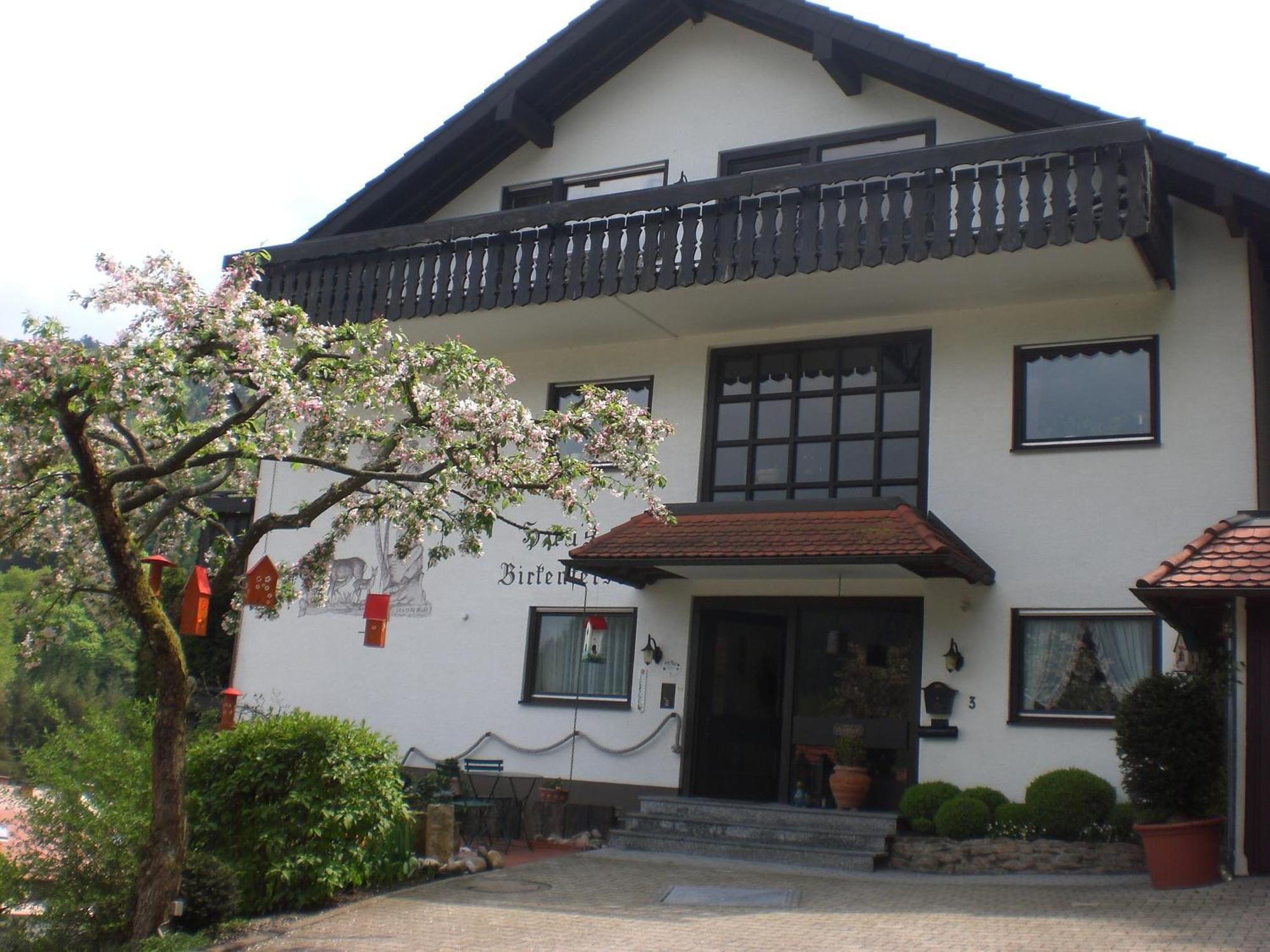 Amstadt's Birkenfels Apartment *